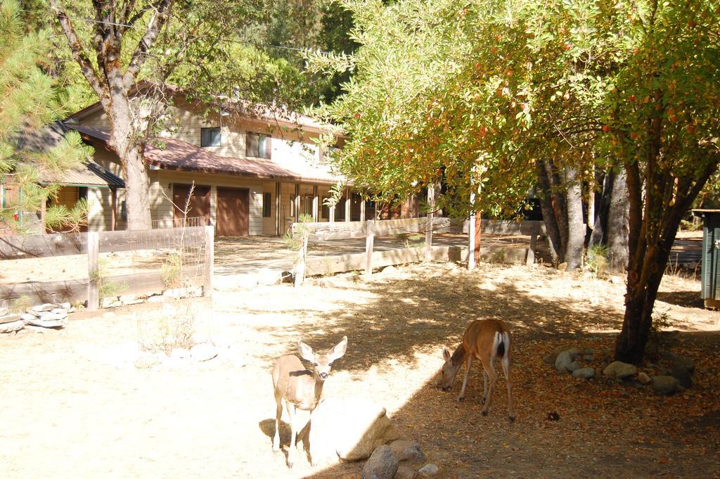 9N Fox Hollow วาโวนา ภายนอก รูปภาพ